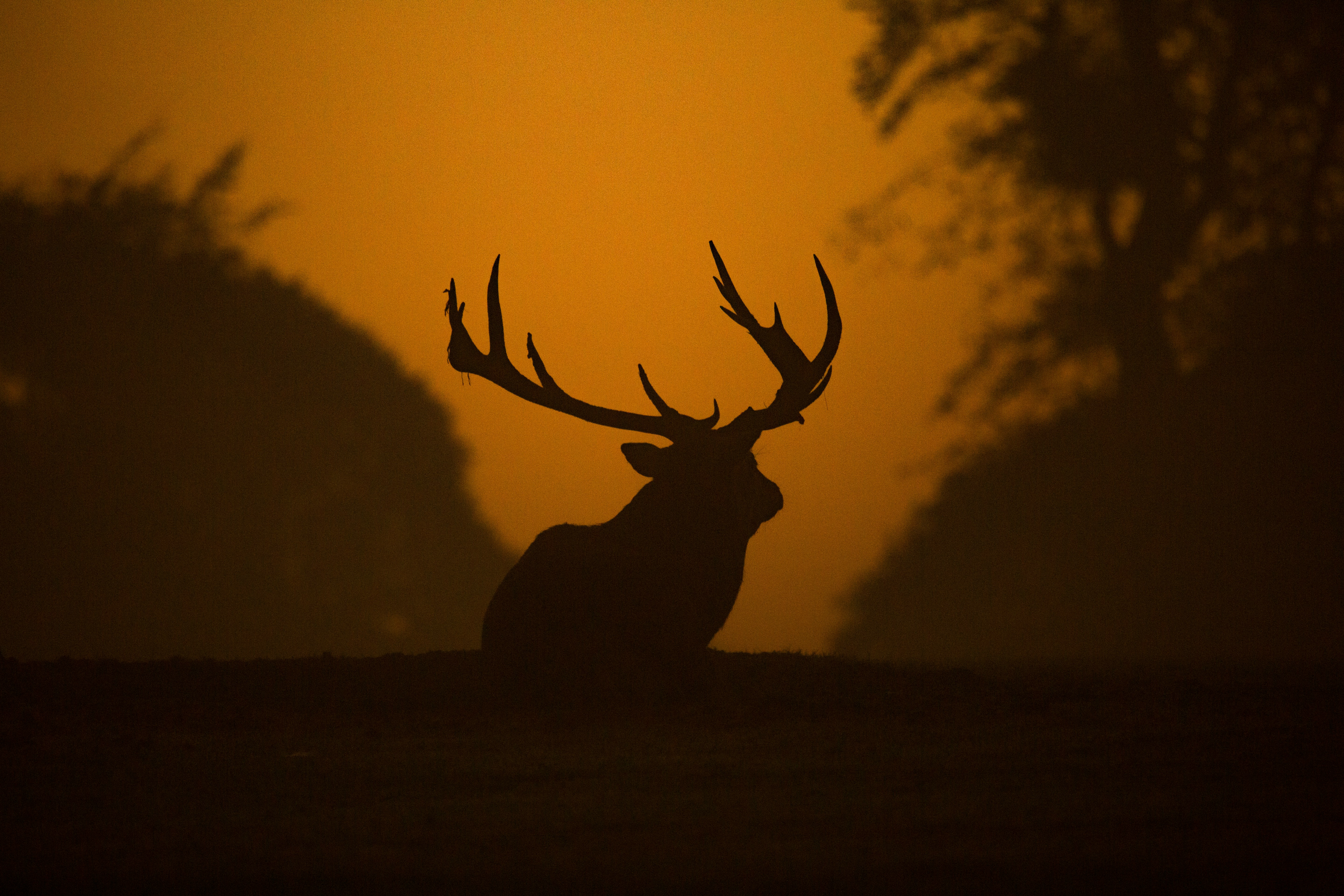 The Hunt Can’t End Until We Revolt 