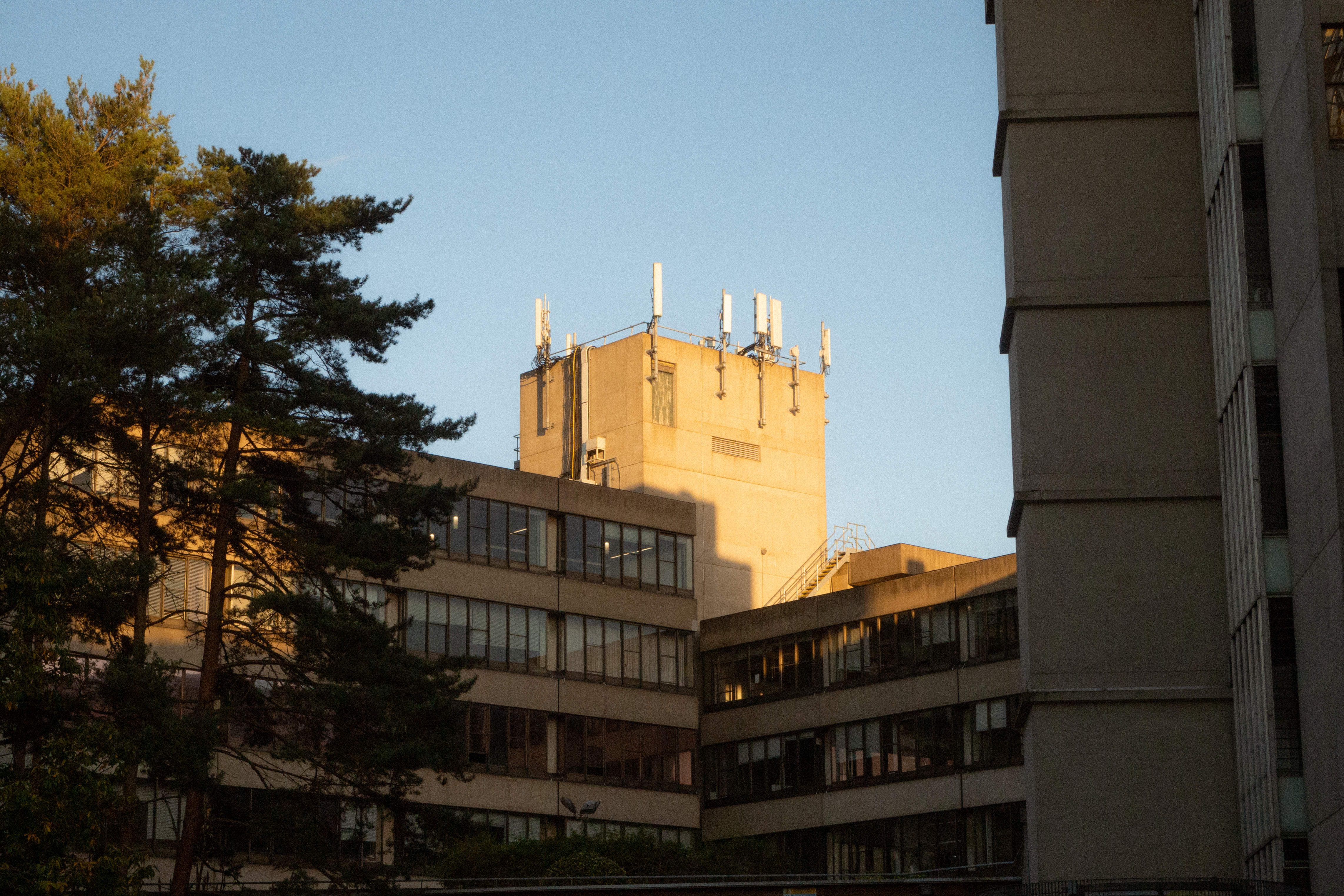 UEA Labour Soc disassociates from Labour Party 