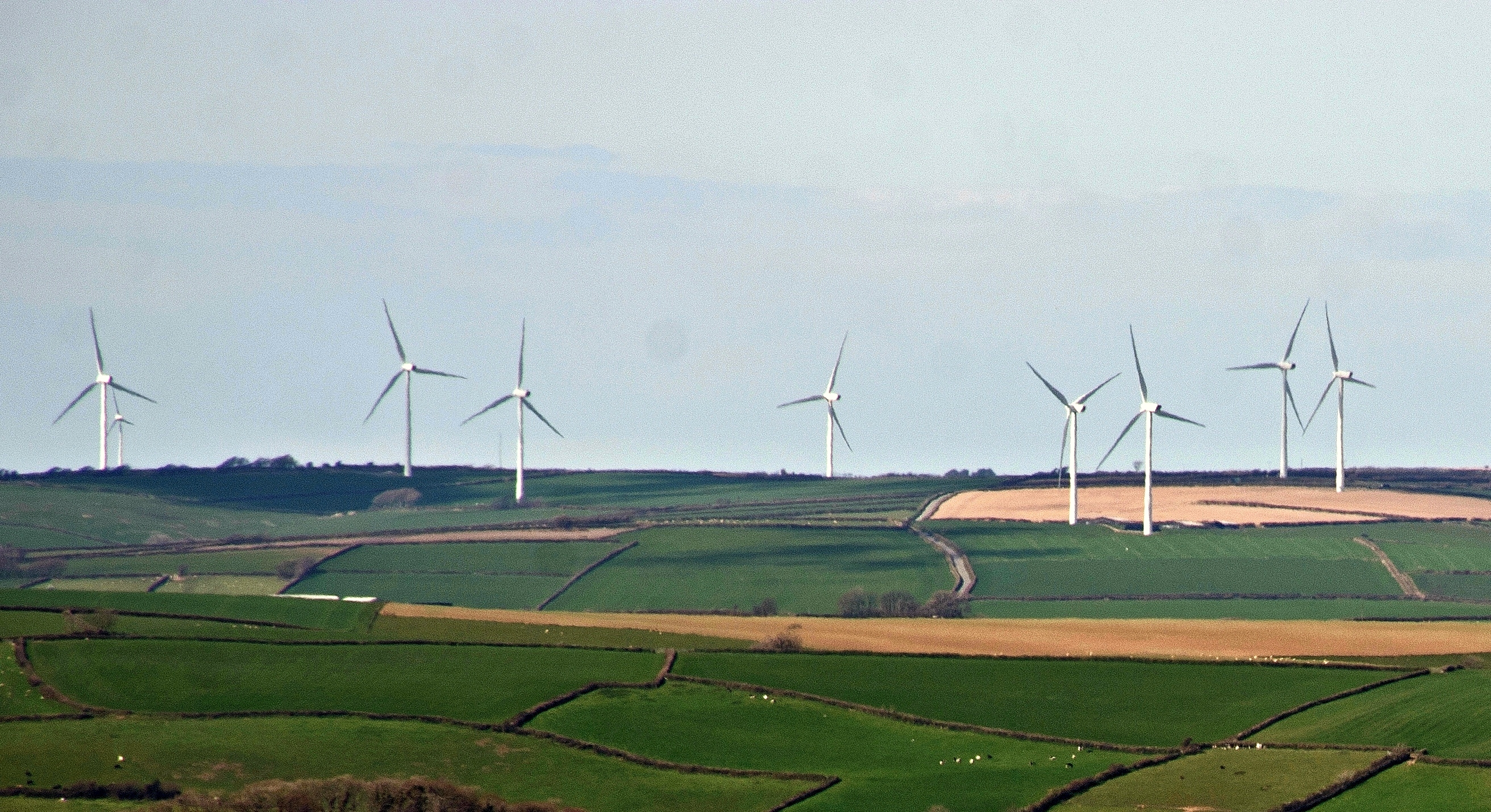 Manifestos promise the world, but which party is actually committed to tackling the climate crisis? 