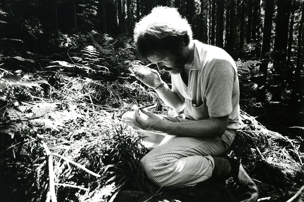 Roger Ackling: Sunlight Review — A Curious Way to Burn Time