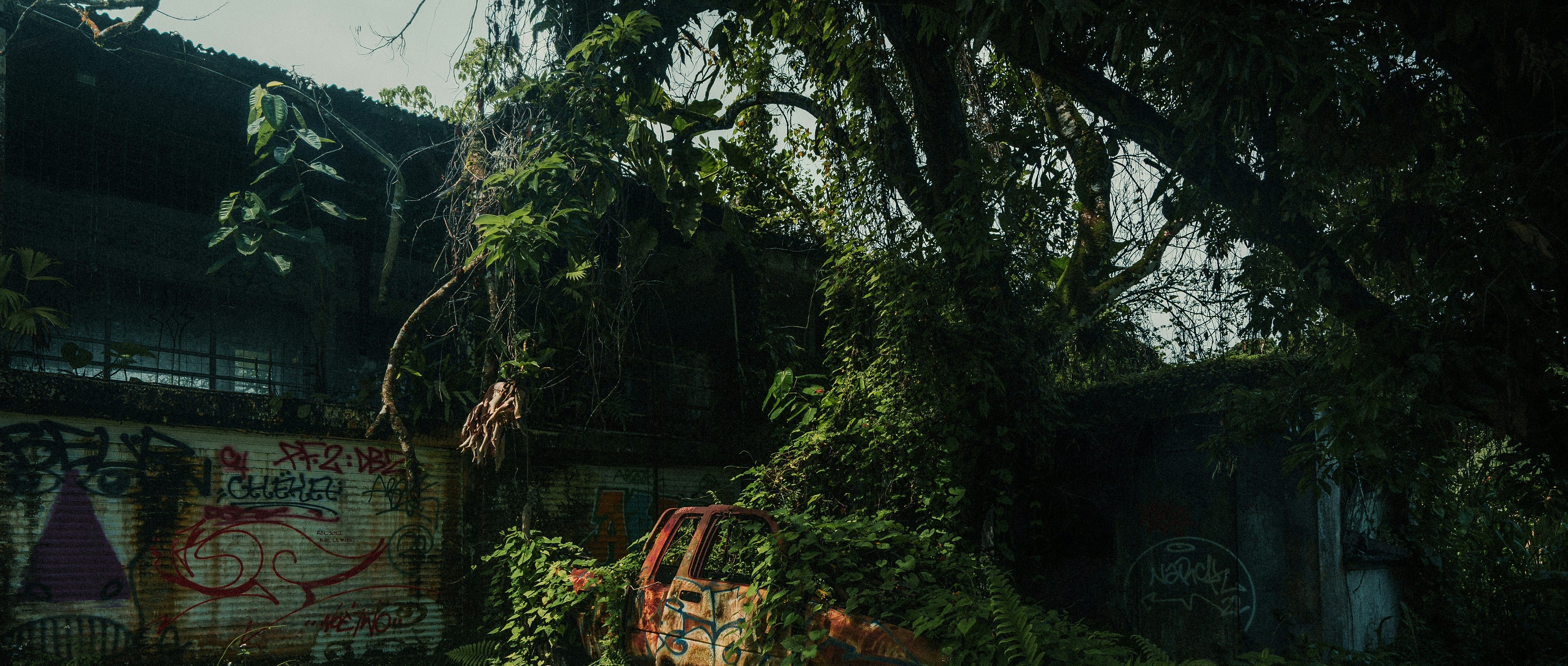 The Last of Us Season 2: What Happens Next