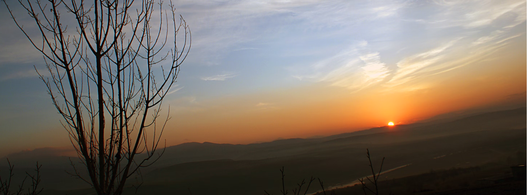 Anne Glia: Navigating New Beginnings 