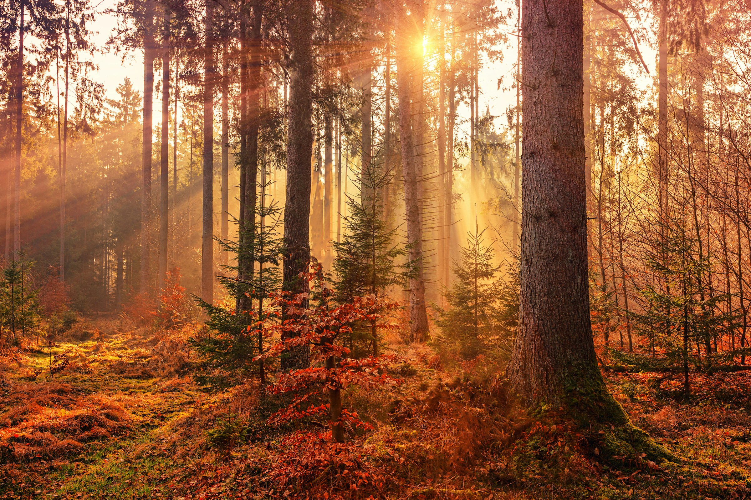 The Autumnal Charm of the Harry Potter Films