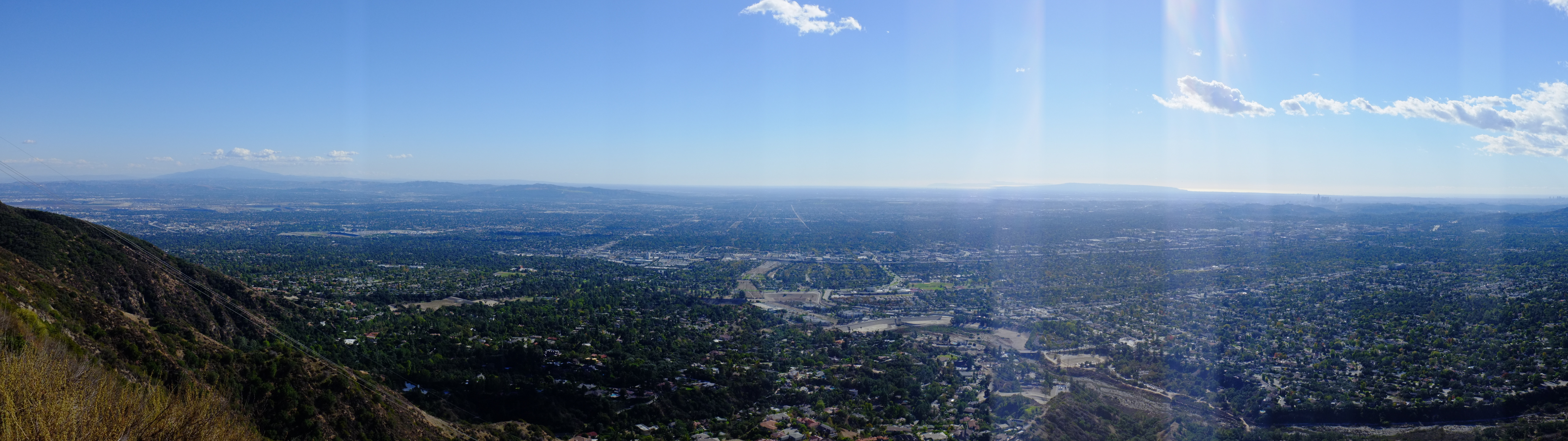Falling in Love with Los Angeles