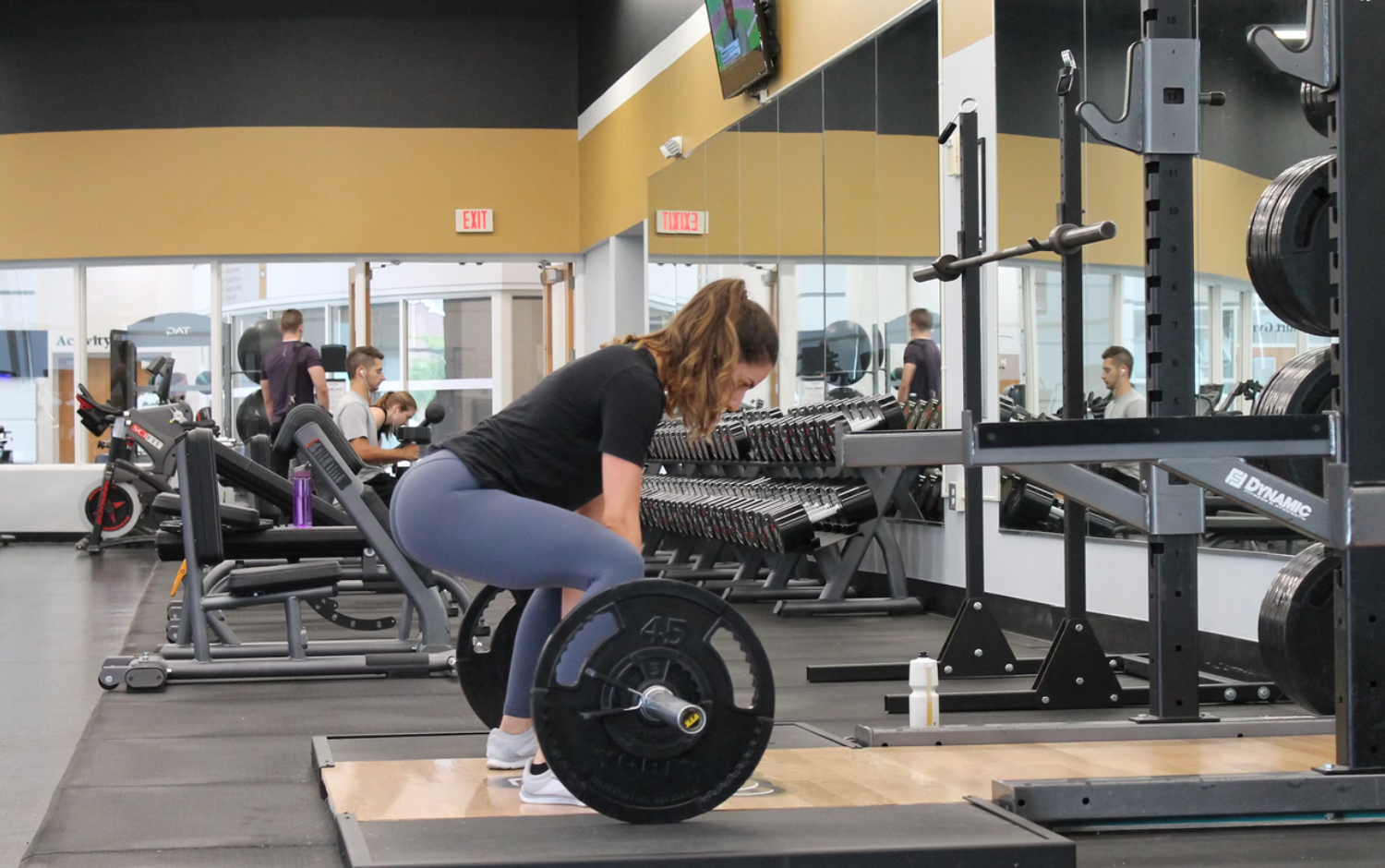 Swol Body, Swol Brain: An Ode to the Gym 