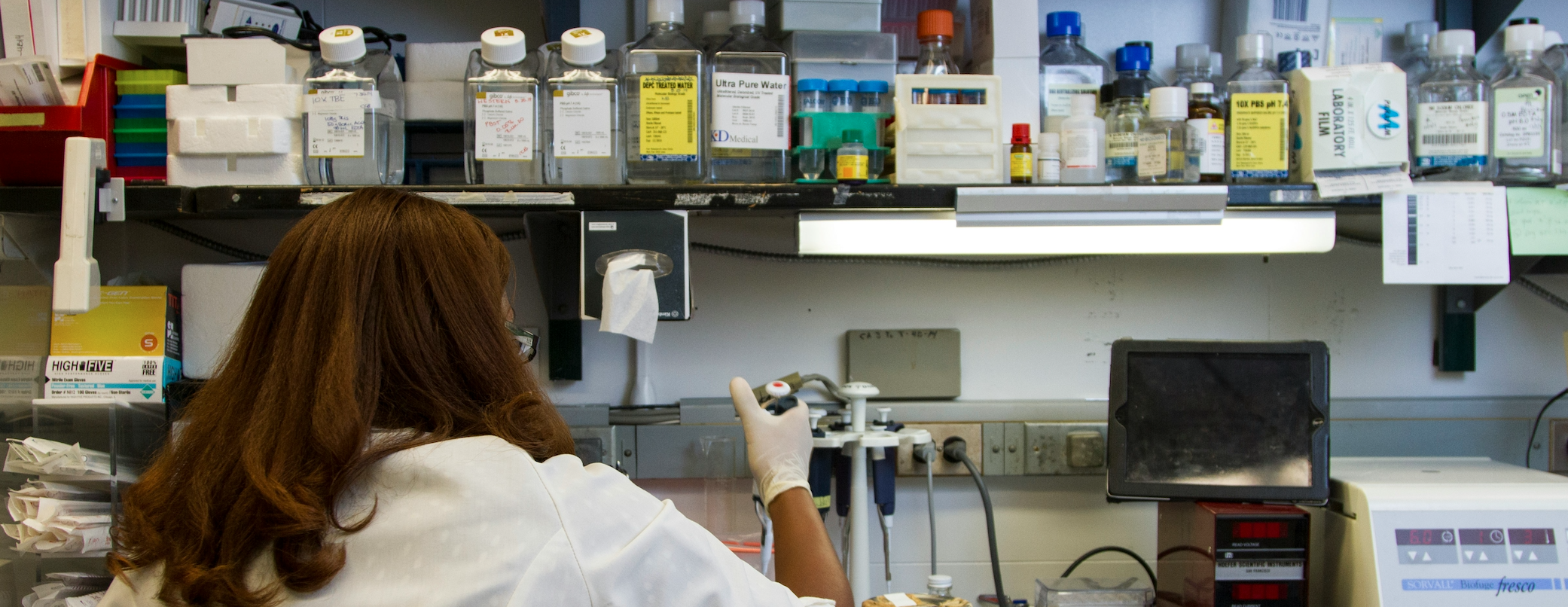 Science: Concrete Wrapped 2024