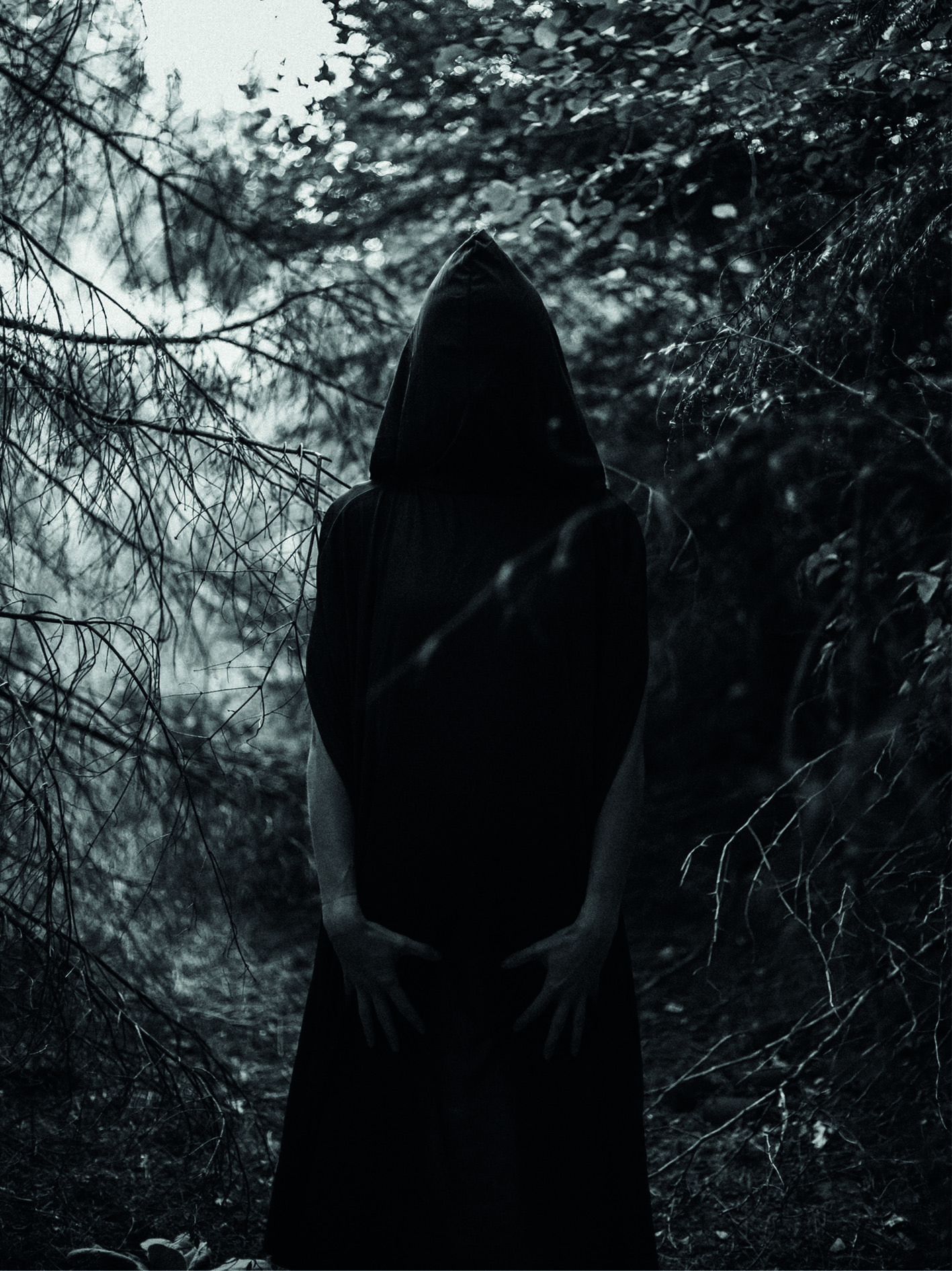 ‘TRAITORS’: TRIUMPH OR FAILURE? 