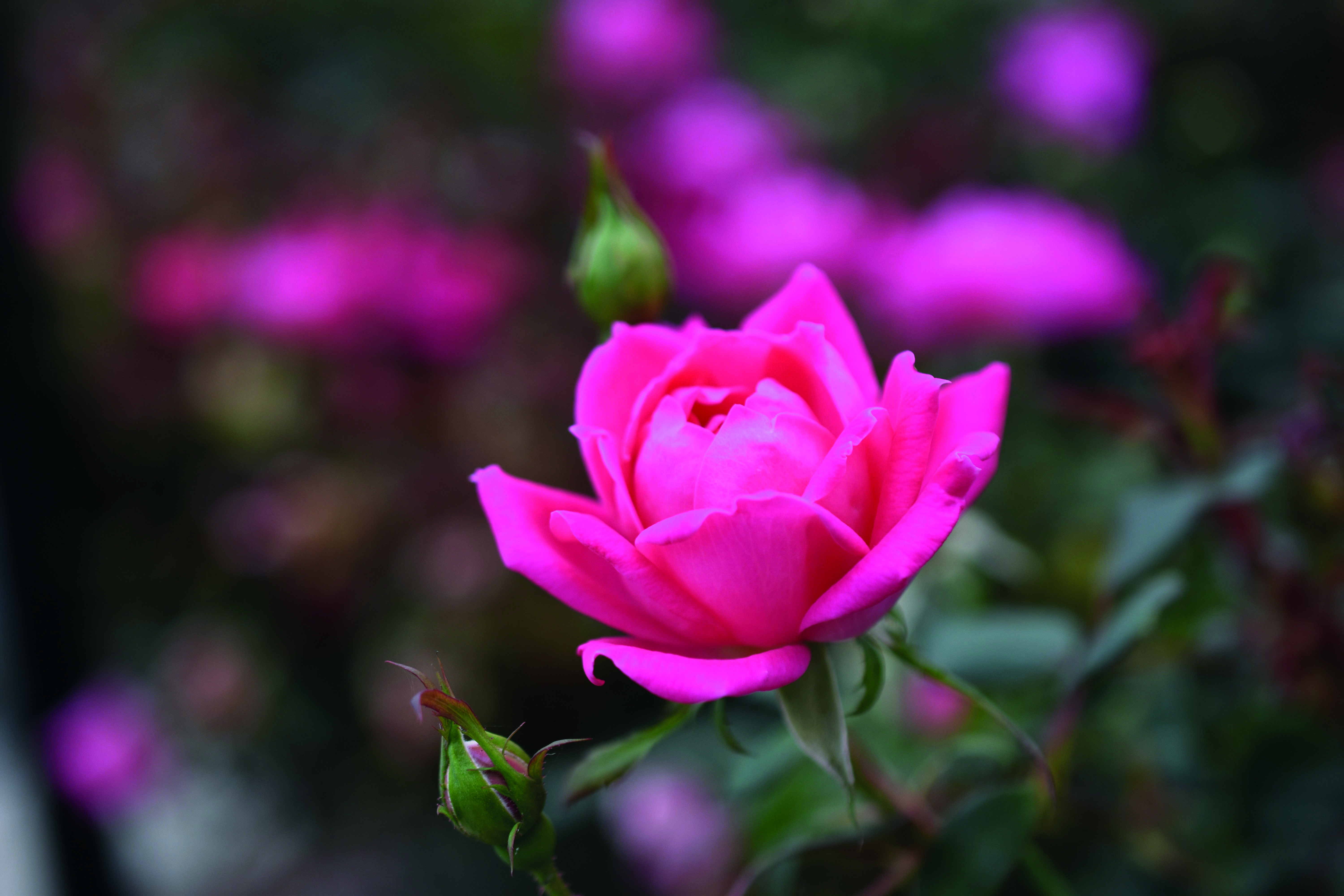 Sexy Film Highlights