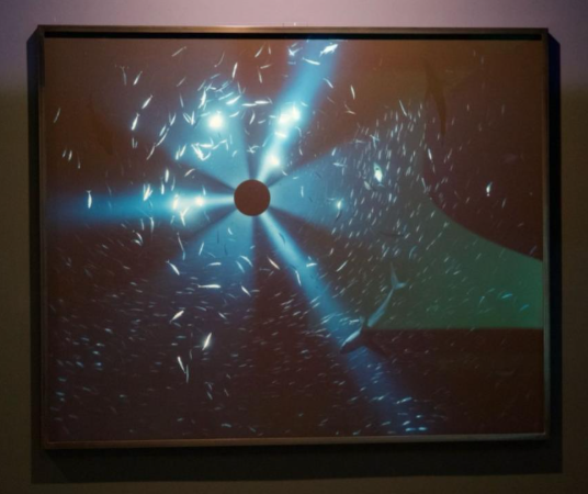 ‘Can the Sea Survive Us’ Exhibition Review 