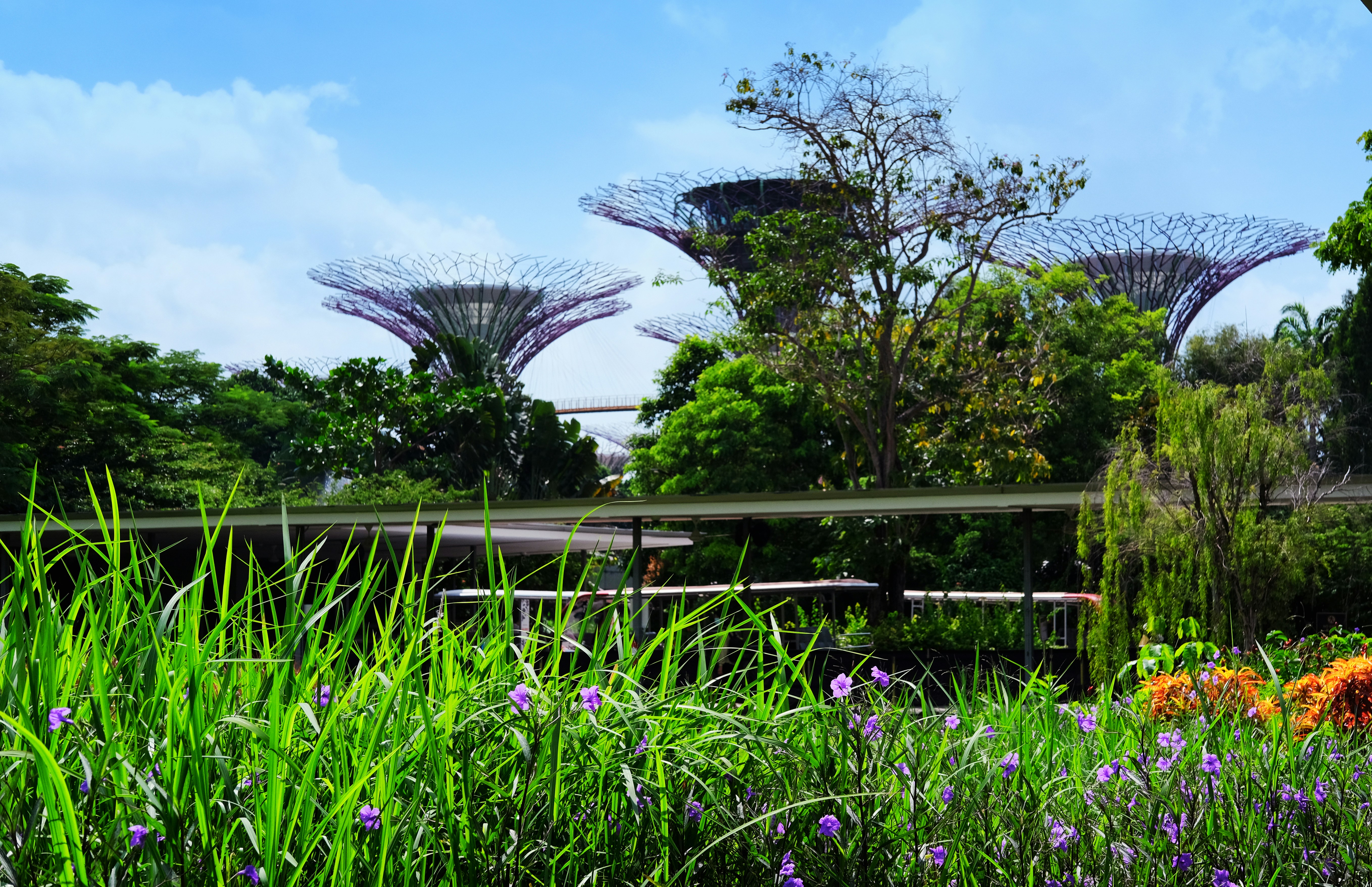 A New Kind of Garden is Growing in Singapore