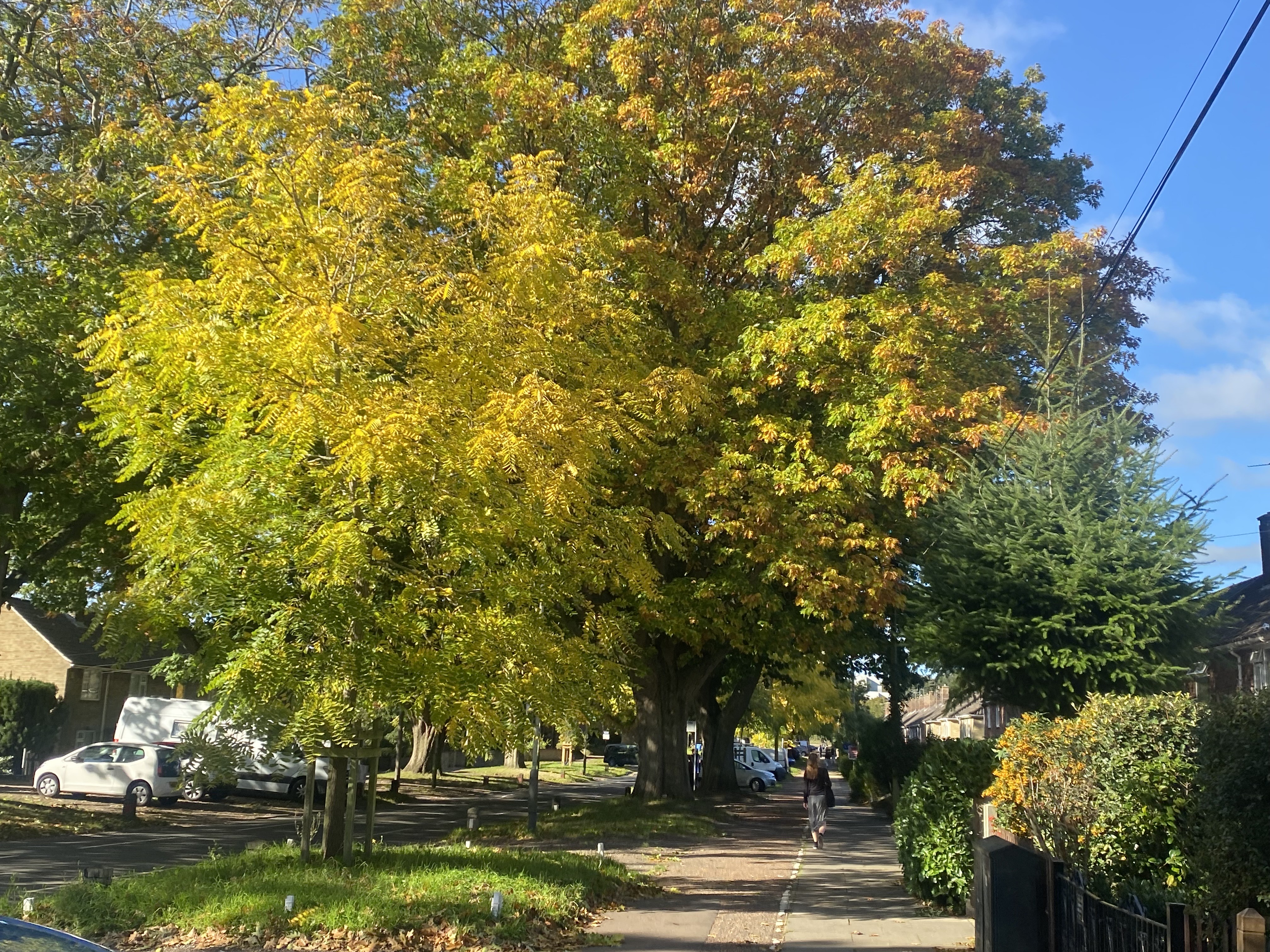 Norwich top spots for feeling like one of the Gilmore Girls