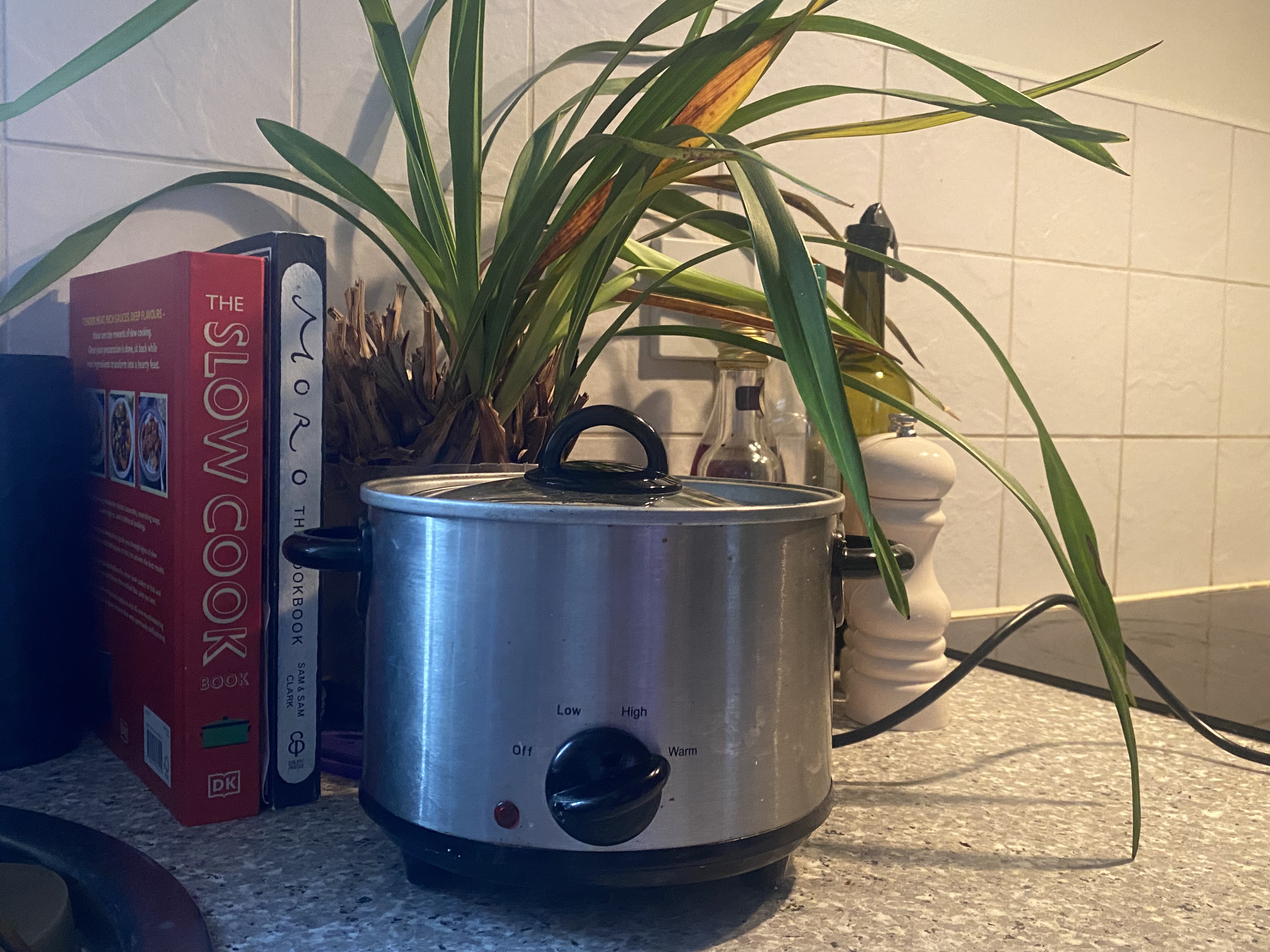 A love letter to my slow cooker – my student essential