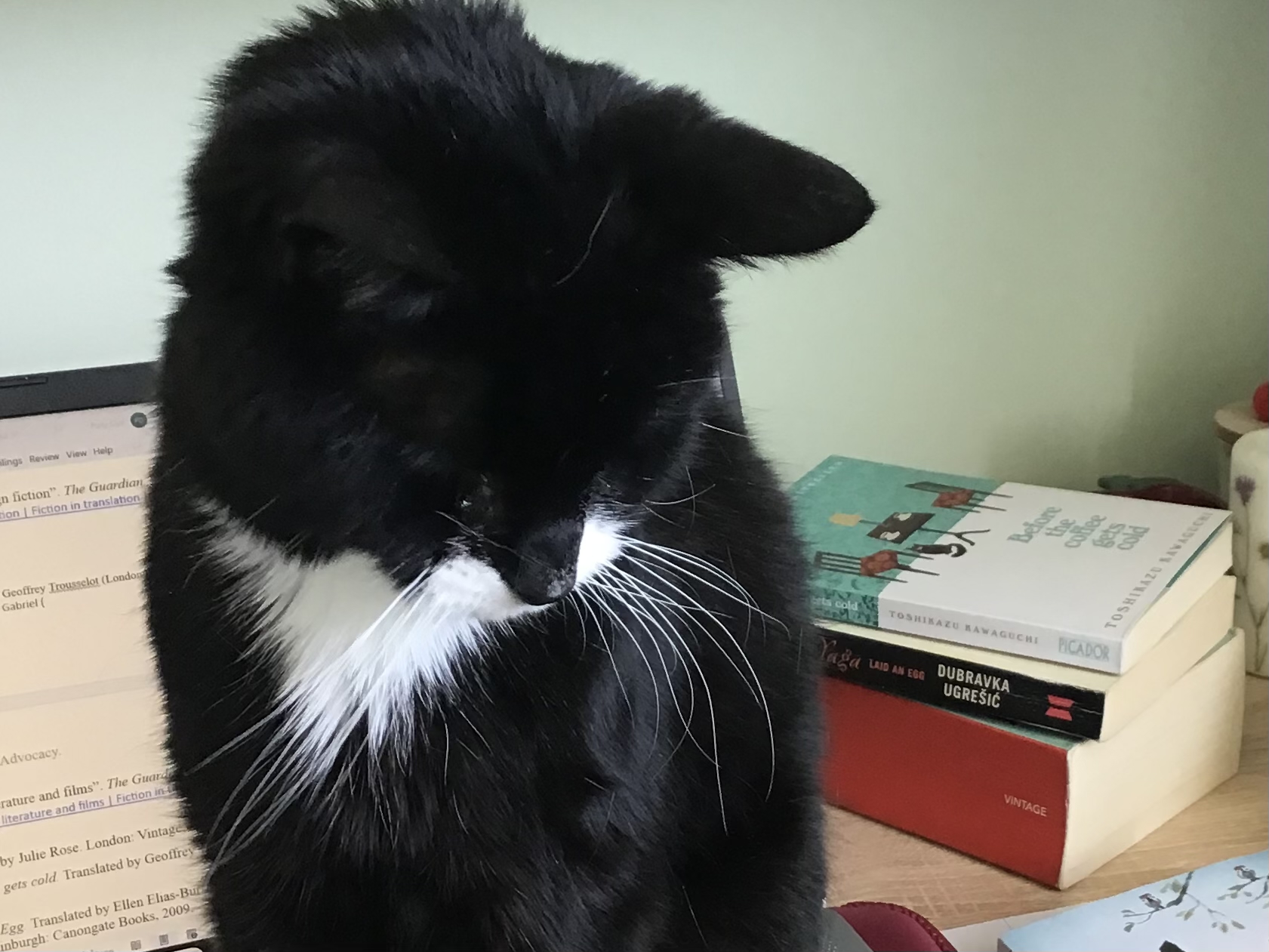 A brief history of cats in literature