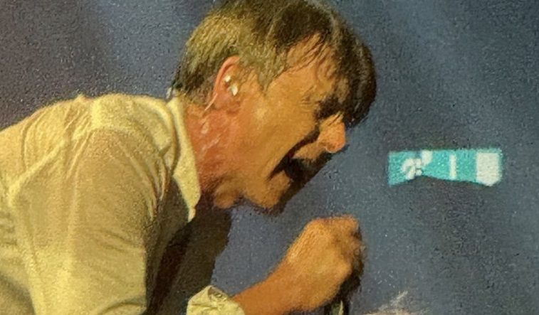 Welcome to Suede World – we’ve been expecting you 