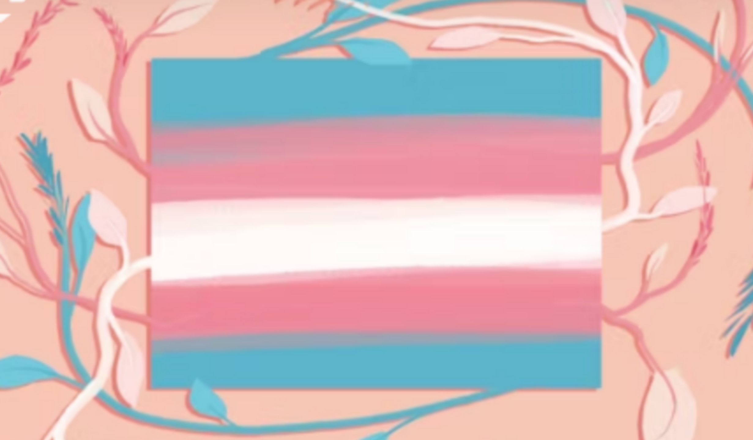 The Transgender Issue — That not enough people have read this book