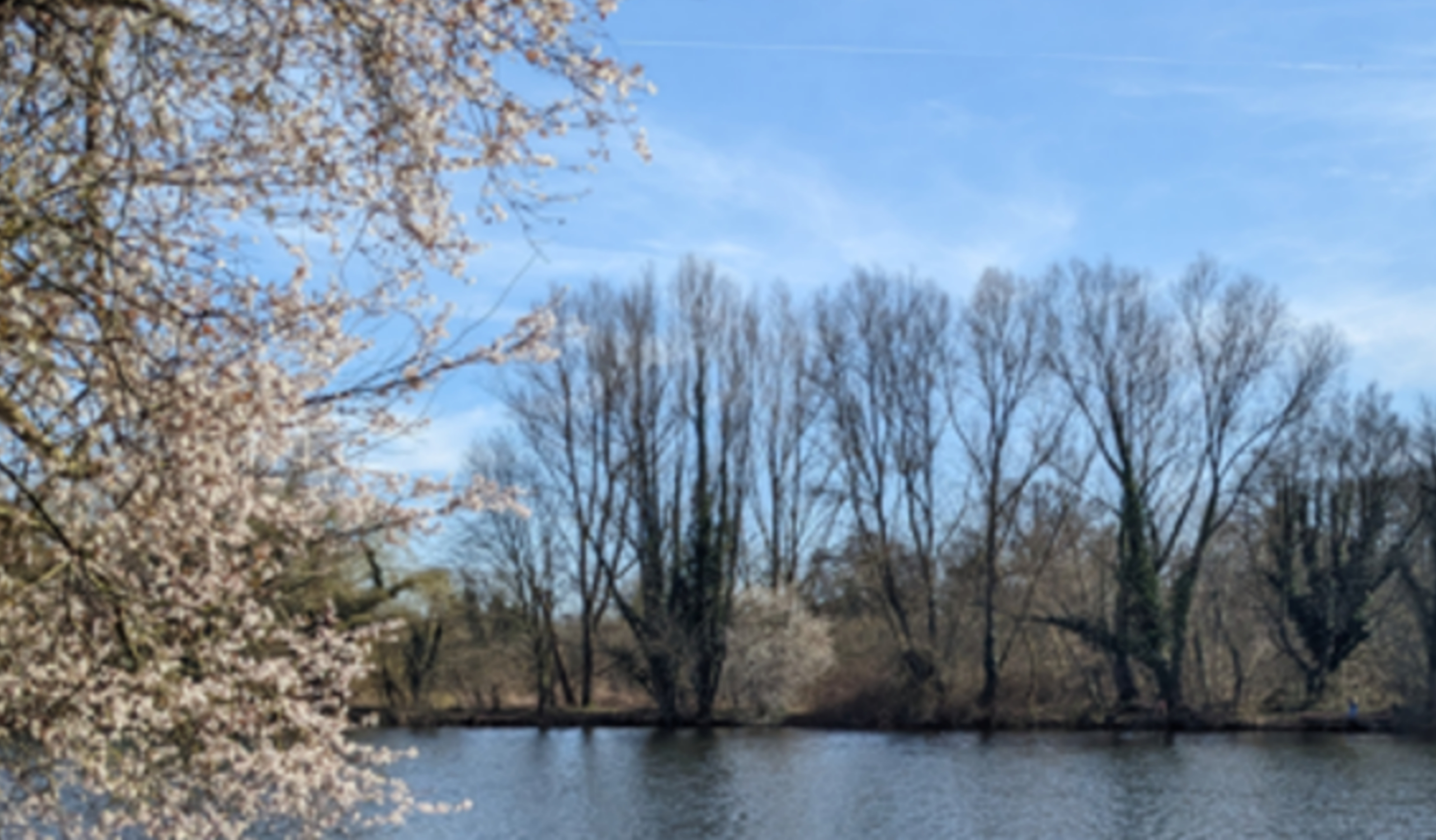 The poetic joy of springtime