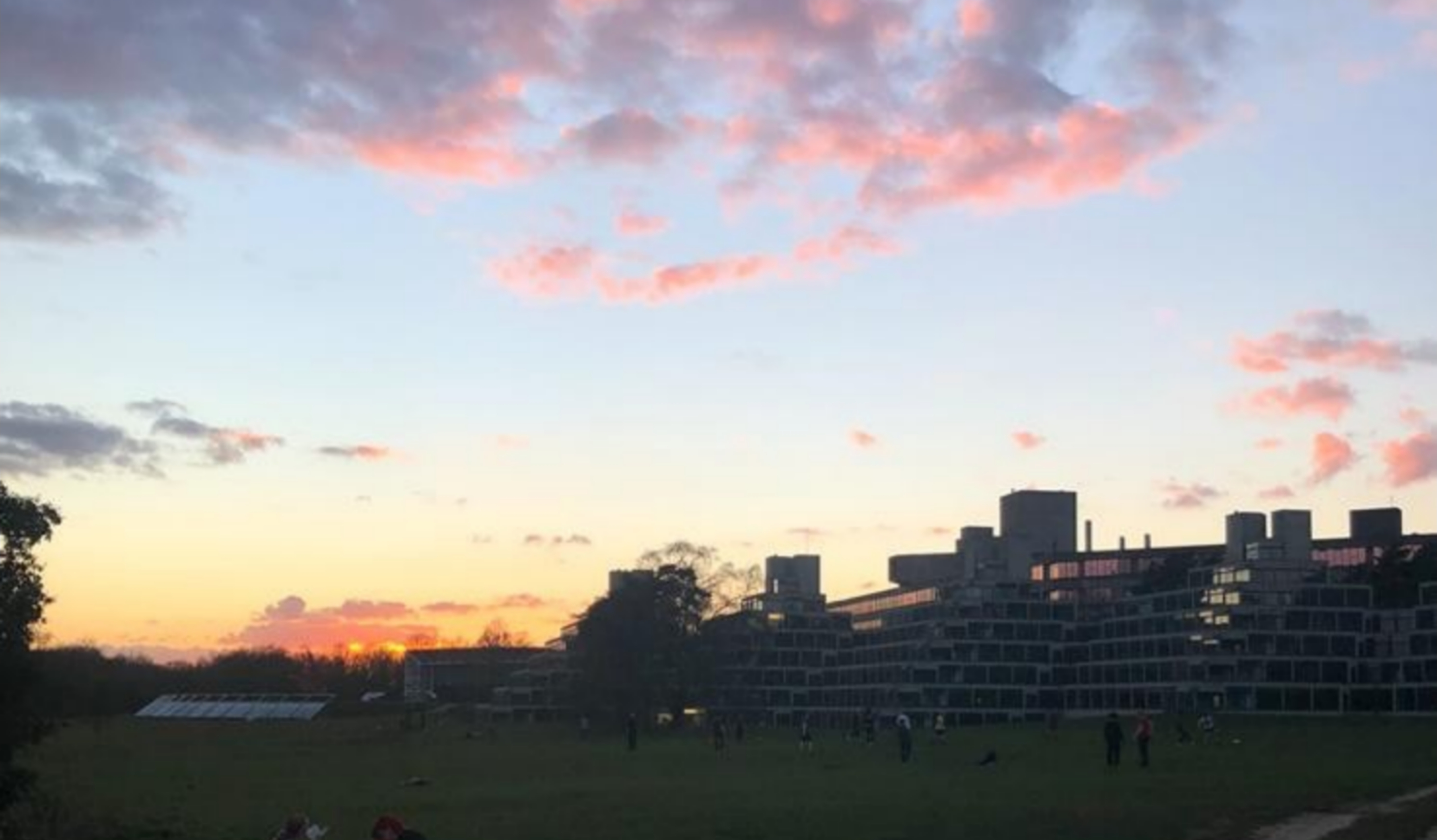 I hated UEA. Now I don’t want to leave