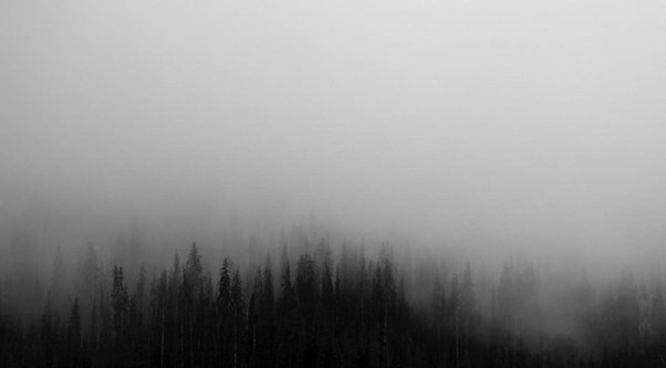 Silent Hill 2: A Psychology Student’s Perspective