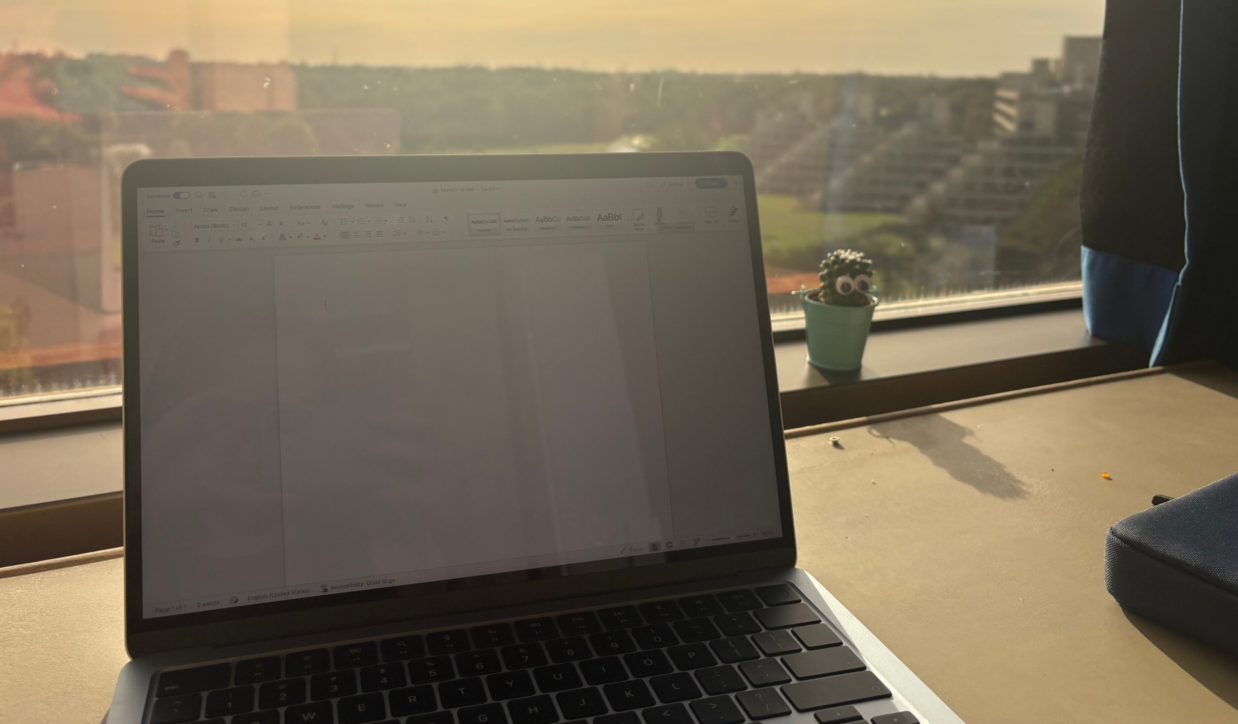 A Macbook, and a cactus with googly eyes against the backdrop of the Ziggurats